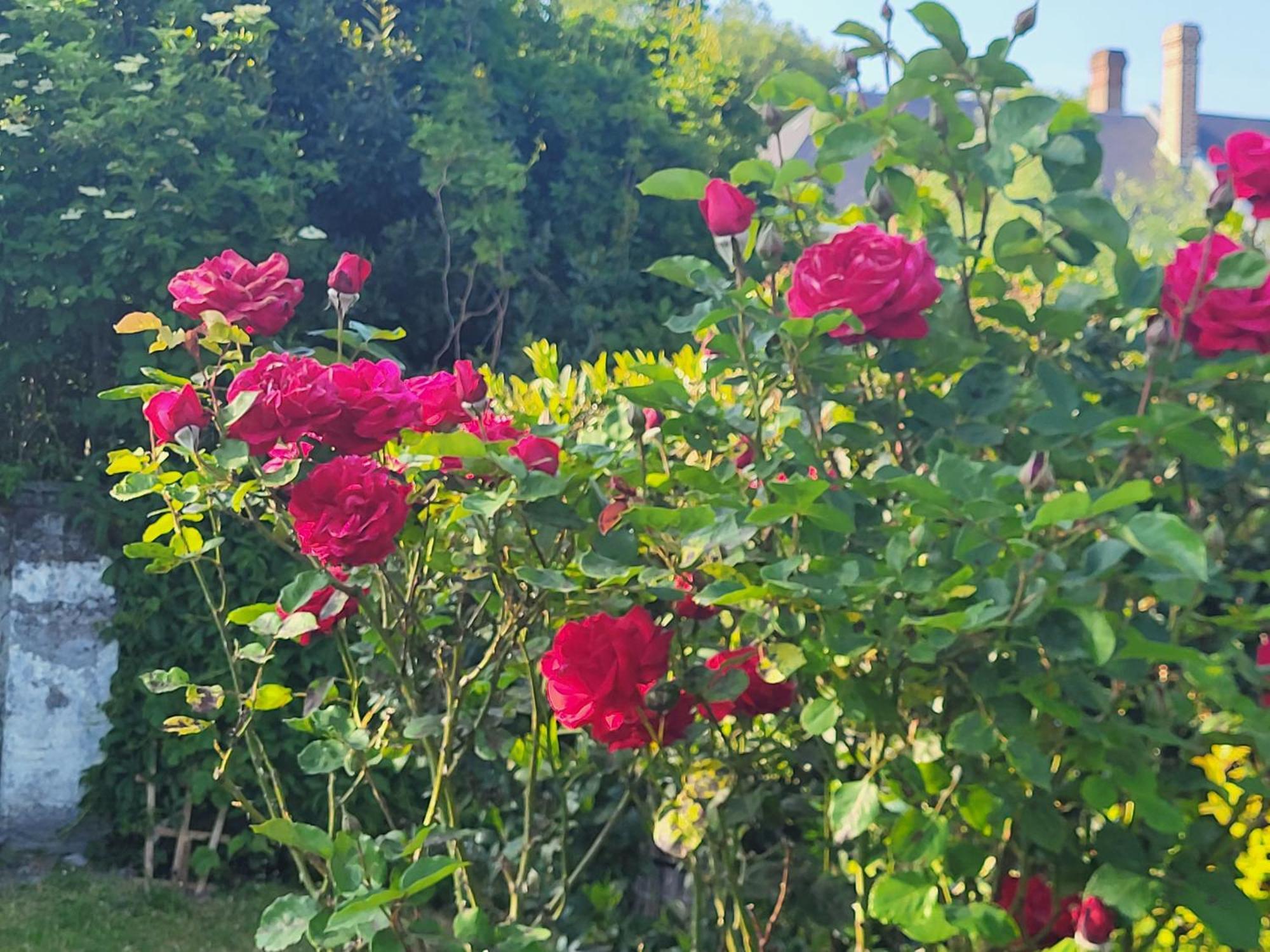 Villa La Massette Favières Esterno foto